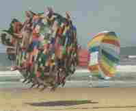 <Big Fish Kite> 