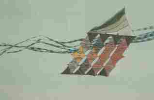 <Asian Kite>